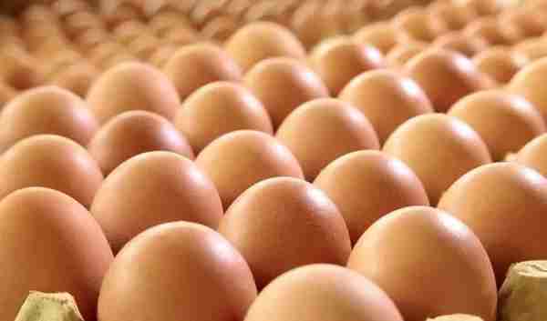 鸡蛋市场分析及后期策略20230329