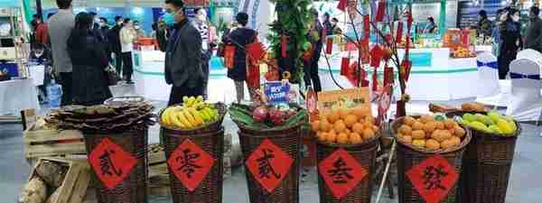 860多家企业、3000多种产品参展！第22届广西名特优农产品交易会在桂林开幕