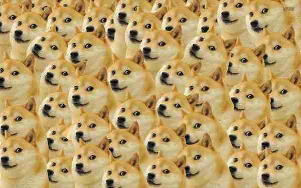 一只凭借表情走红的狗子，20亿网友用它的表情包